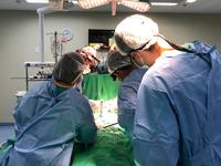 hospital-metropolitano-realiza-primeira-cirurgia-cardiaca-pediatrica-com-teletransmissao-por-meio-de-parceria-com-o-incor-sp-3.jpg