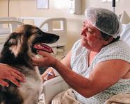 hospital-metropolitano-recebe-a-primeira-visita-de-2026-da-terapia-assistida-por-animais-taa-5.jpeg