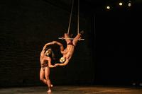 img_8528.jpg