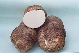 inhame-marcacao-iii.jpg