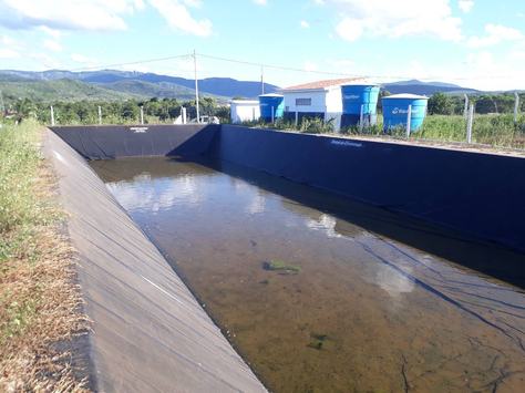 itatuba-jurema-3.jpg