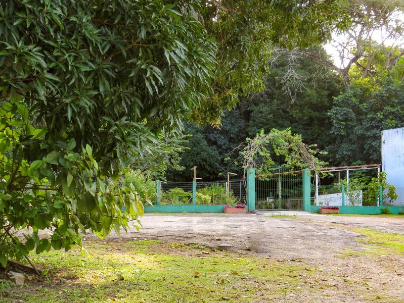 jardim-b-beatriz-avelino-ascom-sudema-1.jpg