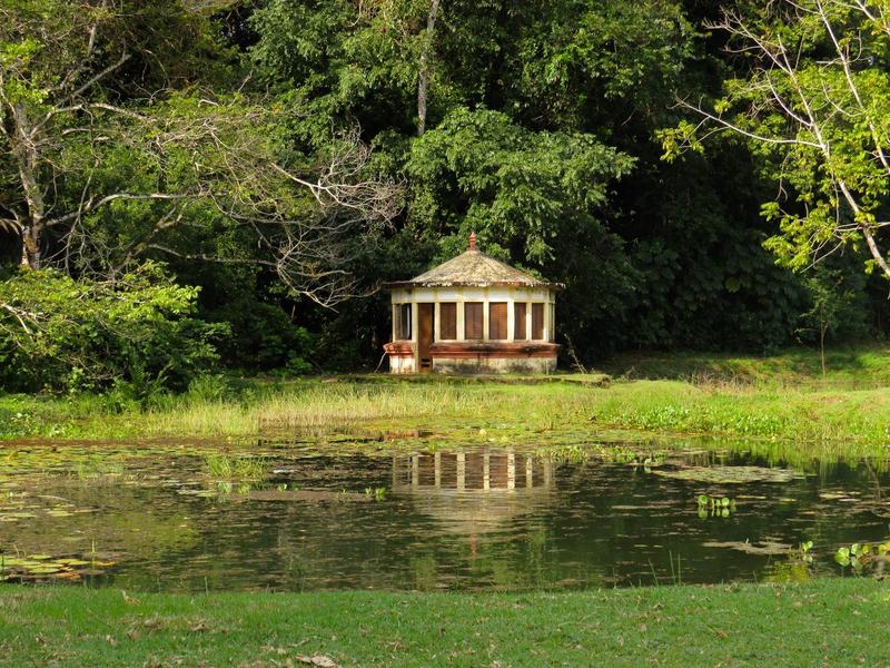 jardim-b-beatriz-avelino-ascom-sudema-2.jpg