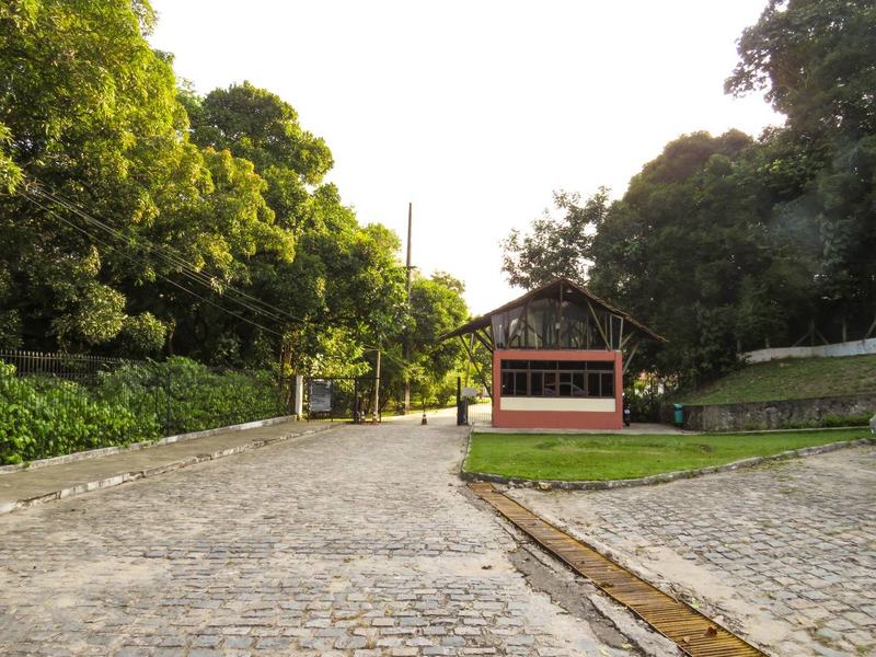 jardim-botanico-beatriz-avelino-13.jpg