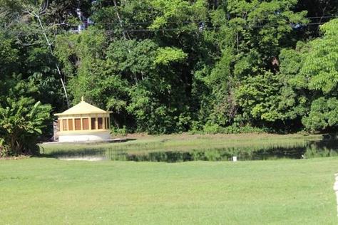 jardim-botanico.jpeg