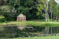 jardim-botanico_2024ago14_001_fernanda-eggers.jpg