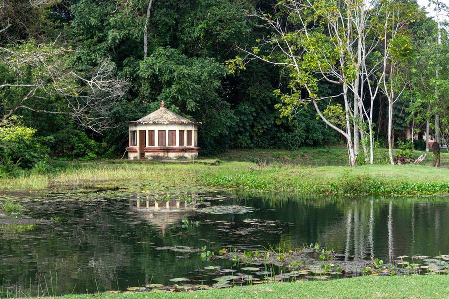 jardim-botanico_2024ago14_001_fernanda-eggers.jpg