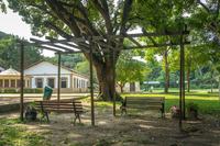 jardim-botanico_2024ago14_013_fernanda-eggers.jpg