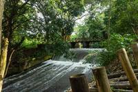 jardim-botanico_2024ago14_016_fernanda-eggers.jpg