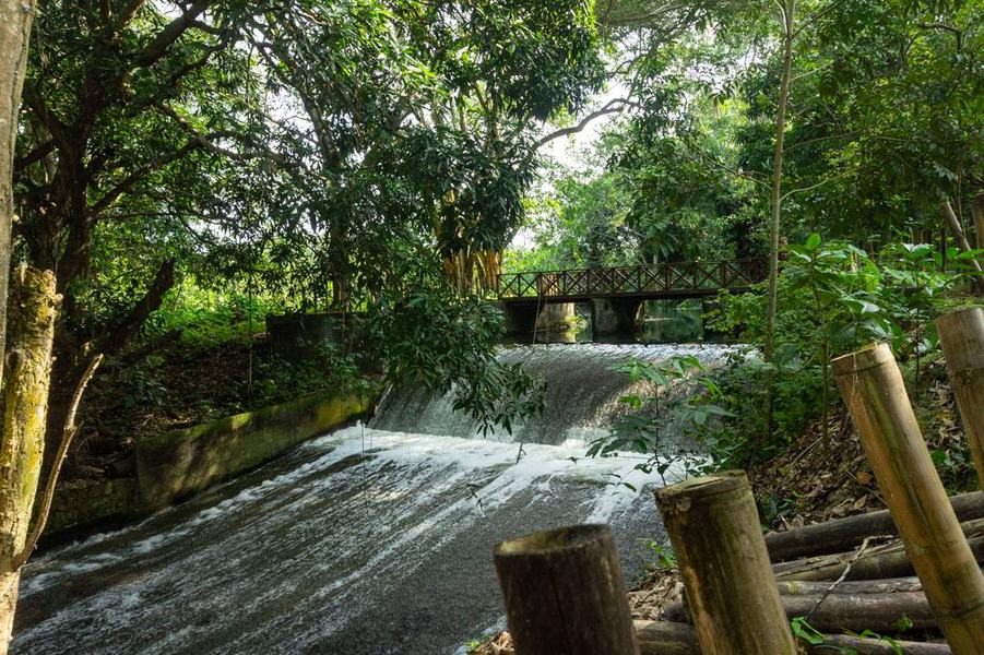 jardim-botanico_2024ago14_016_fernanda-eggers.jpg