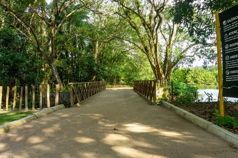 jardim-botanico_2024ago14_019_fernanda-eggers.jpg