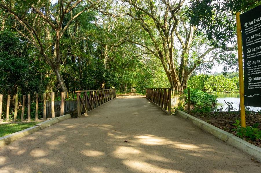 jardim-botanico_2024ago14_019_fernanda-eggers.jpg