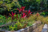 jardim-fotanico_beatriz-avelino-2.jpeg
