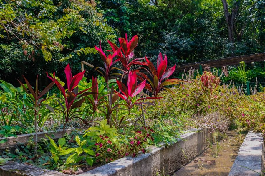 jardim-fotanico_beatriz-avelino-2.jpeg