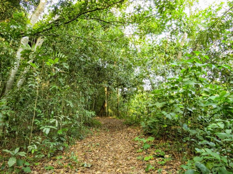 jardim_botanico_-_beatriz_avelino_-11.jpg