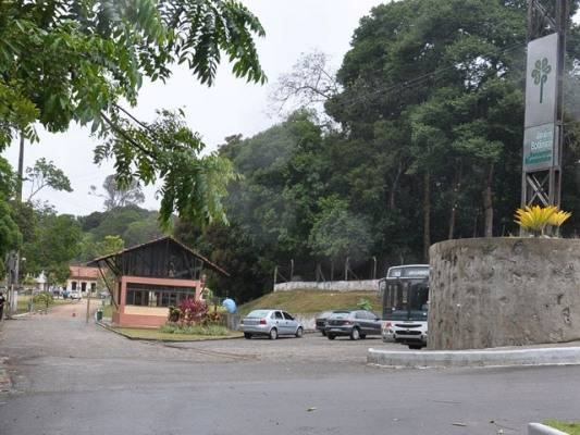 Dia da Mata Atlântica é comemorado com trilhas no Jardim Botânico