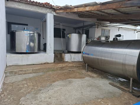 lanassamento-fa-brica-leite-de-cabra-em-pa3-6.jpg