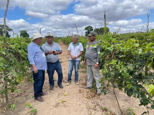 Empaer orienta produtores de maracujá de Araruna e Cacimba de Dentro