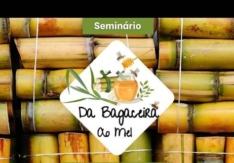 materia-08-12-2024-seminario-bagaceira-mel-foto-reproducao.jpeg