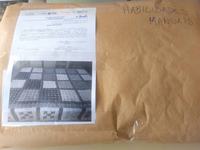 memorial-da-pandemia-pecas-receibidas-6.jpg