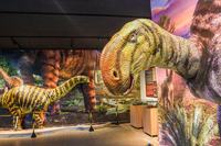 mona_vale_dos_dinossauros_sma-2025-beatriz_avelino-2260-1.jpg