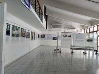 mostra_indigena1.jpg