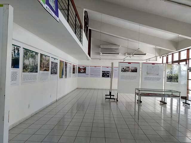 mostra_indigena1.jpg