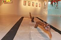 natureza-e-natureza-imaginada-foto-de-jamarri-nogueira-4.jpg