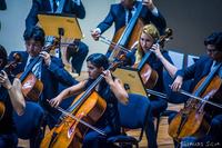 ospb_08-06-18_thercles-silva-4.jpg