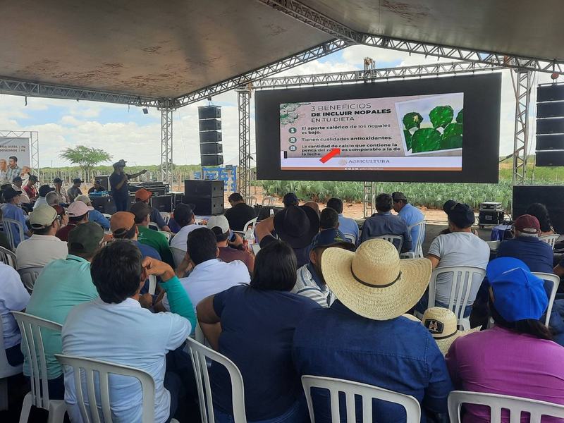 palestra-sobre-cultivo-melhoramento-e-pestejo-da-palma.jpg
