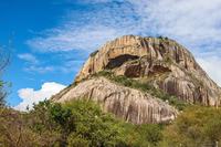 passarinhando_nas_ucs_edicao_pe_pedra_da_boca_20_07_2025_beatriz_avelino-2578.jpg