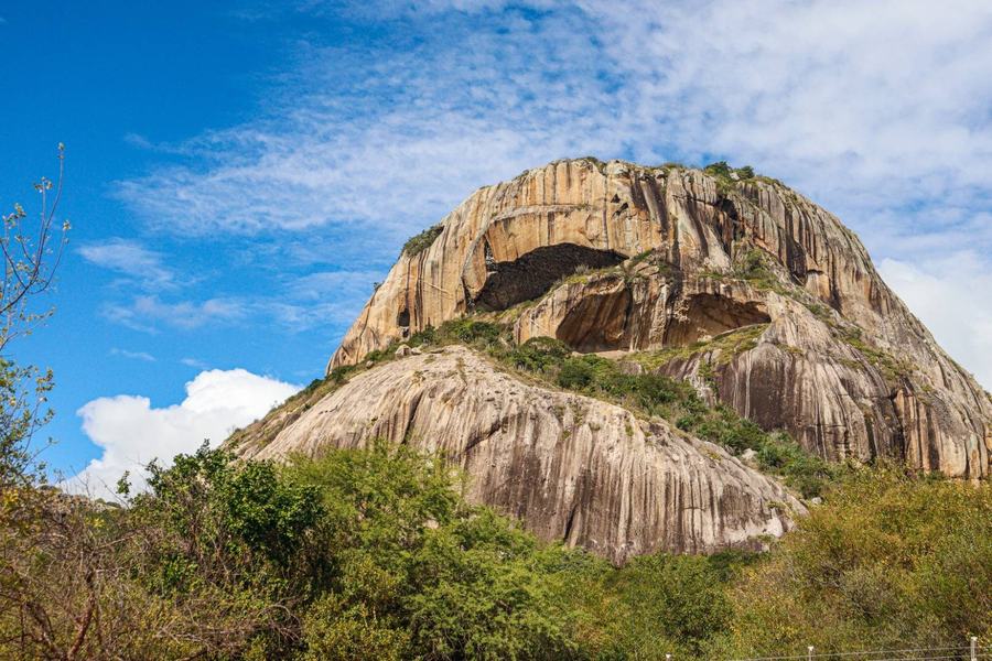 passarinhando_nas_ucs_edicao_pe_pedra_da_boca_20_07_2025_beatriz_avelino-2578.jpg