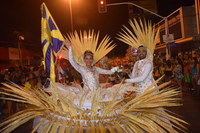 pavao-de-ouro.png