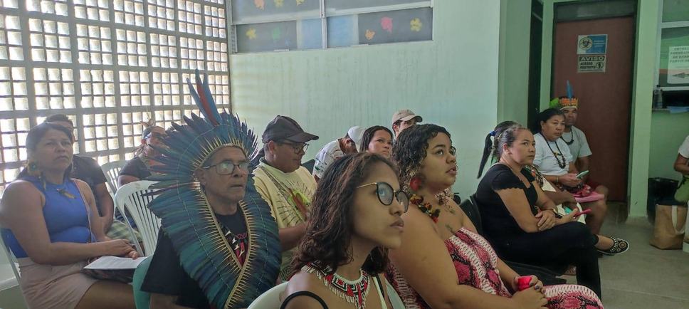 pedrosantos-povosindigenas02.jpeg