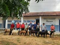 pendencia-1.jpg