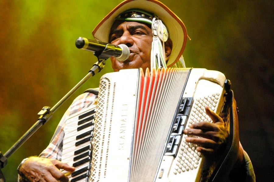 pinto-do-acordeon.jpg