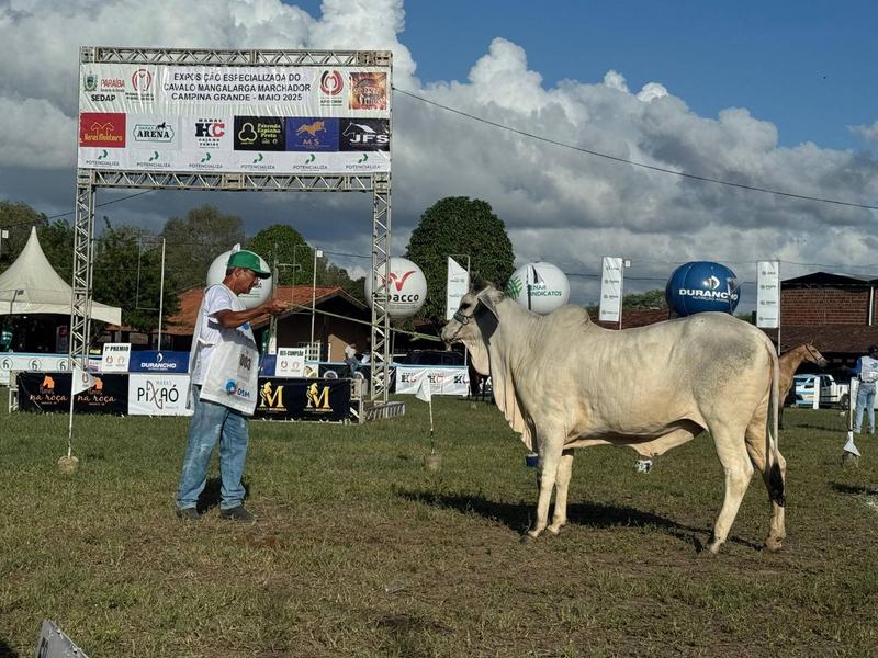 premio-guzera-4-28-05.jpg