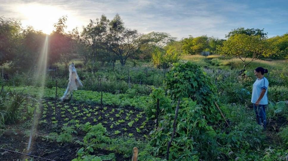produtora-rural-janaina-dos-santos-1.jpeg