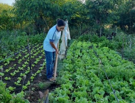 produtora-rural-janaina-dos-santos.jpeg