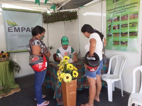 queimadas-19-08.jpg
