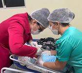 recem-nascidos-que-nescem-no-hospital-de-catole-passam-a-ter-a-cirurgia-de-frenotomia.jpg