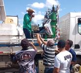 sedap-pb-distribui-alevinos-com-produtores-em-monteiro.jpeg