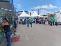 serraria2-06-11.jpeg
