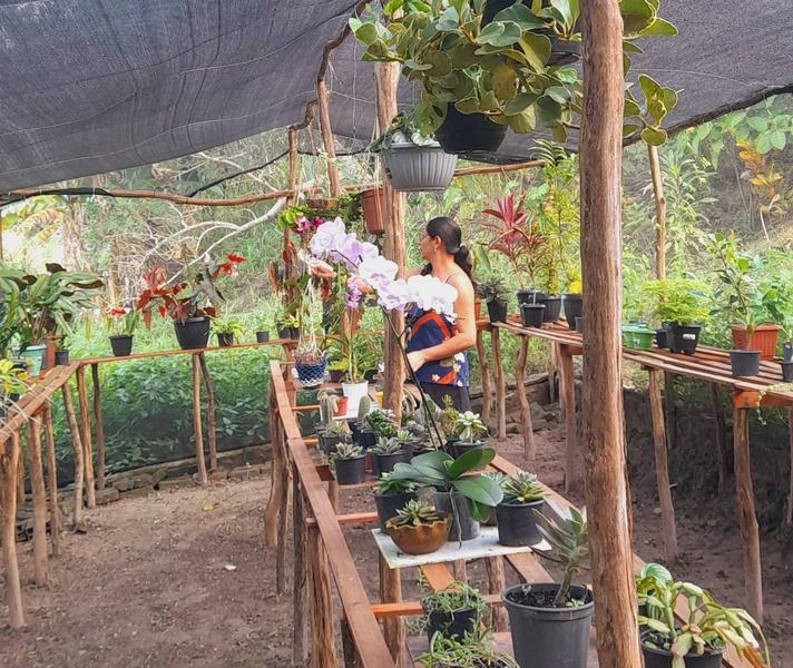 serraria6-25-06.jpg
