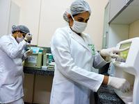 ses-hosp-de-mamanguape-realizou-mais-de-85-mil-exames-laboratoriais-em-2018-2.jpg