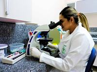 ses-hosp-de-mamanguape-realizou-mais-de-85-mil-exames-laboratoriais-em-2018-3.jpg