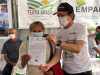 terra-brasil.jpg