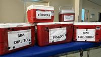 traumacg05-05.jpg