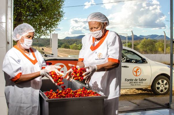 Governo do Estado investe na fruticultura de Pombal e apoia projetos de agricultores familiares